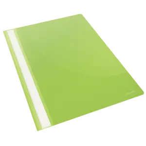 Flat File Esselte VIVIDA A4 Box of 25 - null