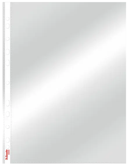 Карман с перфорацией Esselte Standard