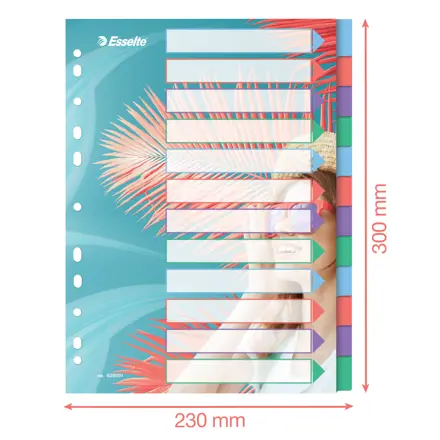 Esselte Colour'Breeze A4 Hakemisto 12 välilehteä, PP