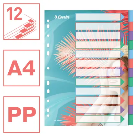Esselte Colour'Breeze A4 Hakemisto 12 välilehteä, PP