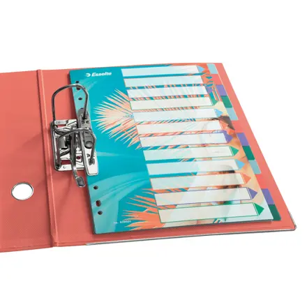 Esselte Colour'Breeze A4 Hakemisto 12 välilehteä, PP