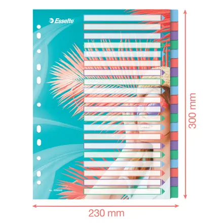 Esselte Colour'Breeze A4- Hakemisto 20 välilehteä, PP