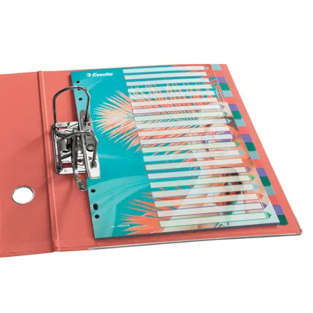 Esselte Colour'Breeze A4- Hakemisto 20 välilehteä, PP