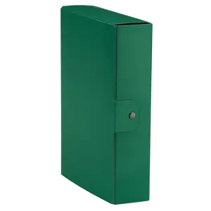 5 Cartelle Progetti Esselte EUROBOX Verde - 25x35cm, Dorso 8cm, Chiusura A Bottone, Per Archiviazione