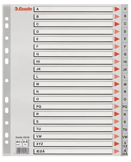Register Esselte PP A4 maxi grå
