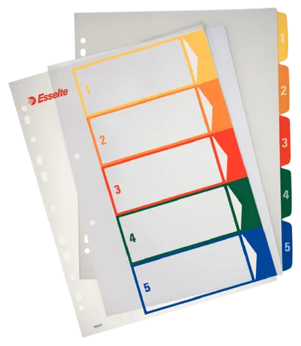 Register PC printbar Esselte PP A4 maxi