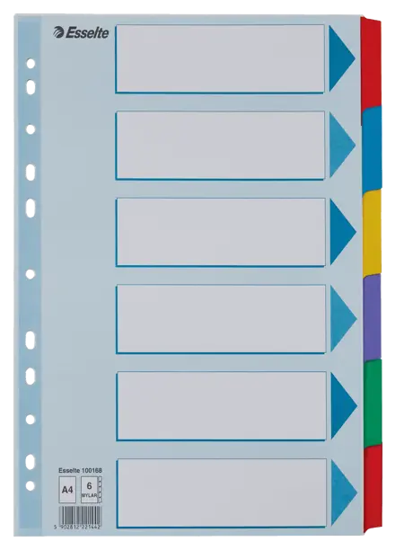 Kartonkihakemisto Esselte Mylar A4
