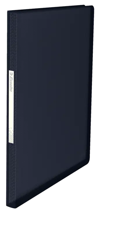 Displaybog Esselte Vivida PP 60 lommer