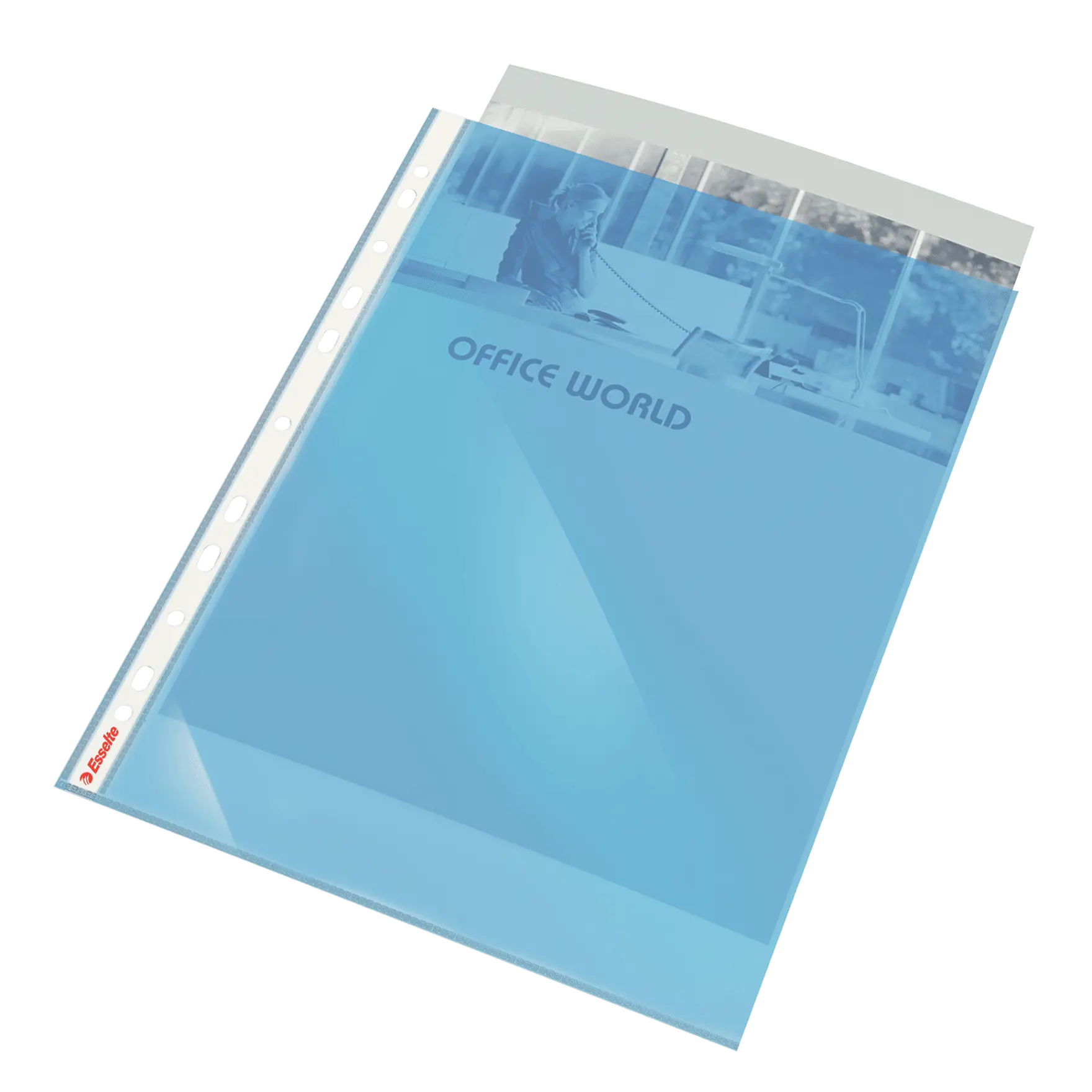 Esselte Quality Pocket Pockets & Folders ESSELTE