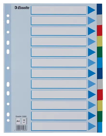 Faneblad Esselte PP A4