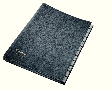 Esselte Desk Organiser