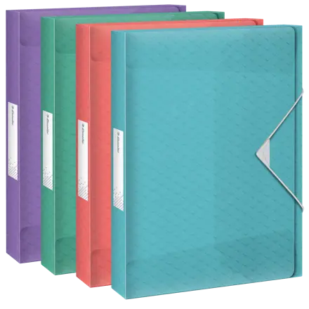 Esselte Colour'Breeze laatikkokansio PP A4 25mm