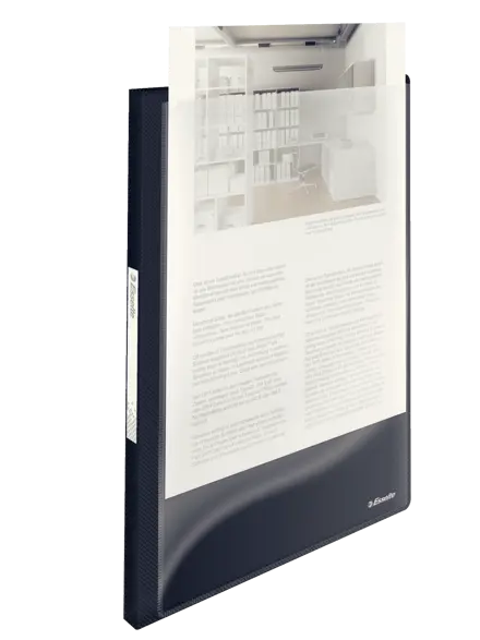 Esselte VIVIDA Panorama Display Book, translucent