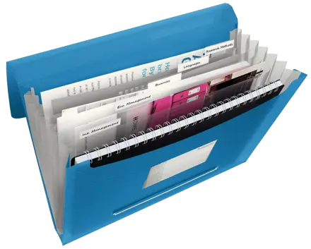 Esselte VIVIDA Expanding Concertina File, translucent