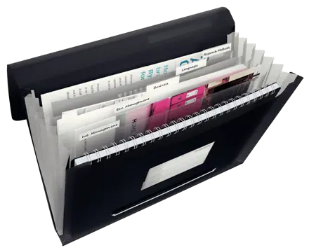 Esselte VIVIDA Expanding Concertina File, translucent