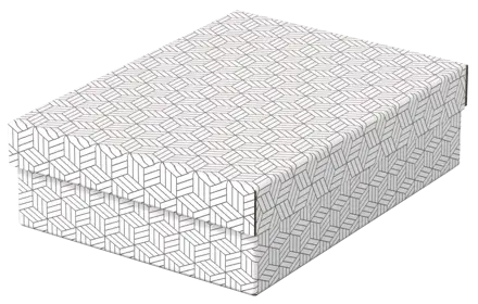 Boîte de rangement/cadeau pour la maison Esselte, format medium, lot de 3