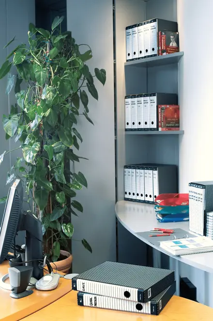 Registratori plastificati con custodia DELSO LINE - F.to Protocollo - Dorso 8