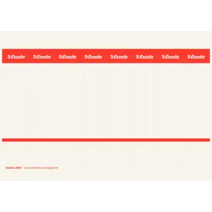 Esselte PC printable Spine Labels for plastic lever arch files