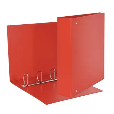 DAILY raccoglitore ad anelli 4-50-D - f.to 22 x 30 cm