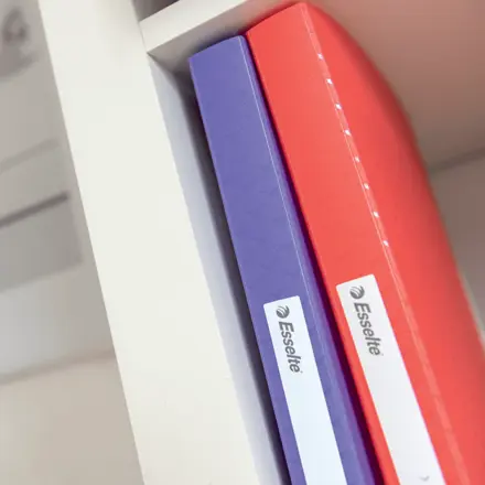 Esselte Colour'Breeze Portalistino 40 buste