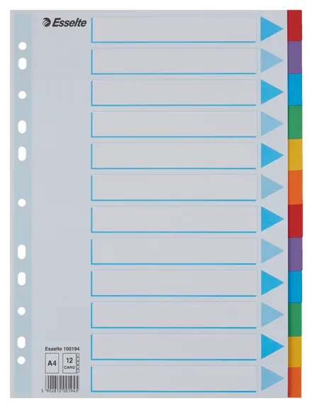 Intercalaires Esselte, carton, A4, 12 touches