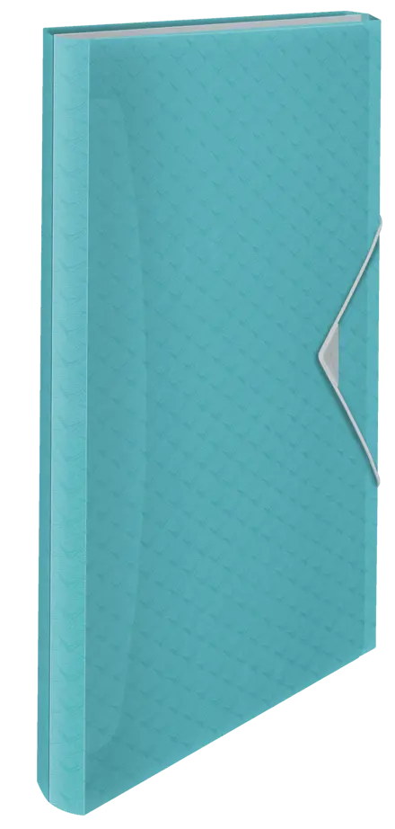 Caderno com Elástico Esselte Colour'Breeze