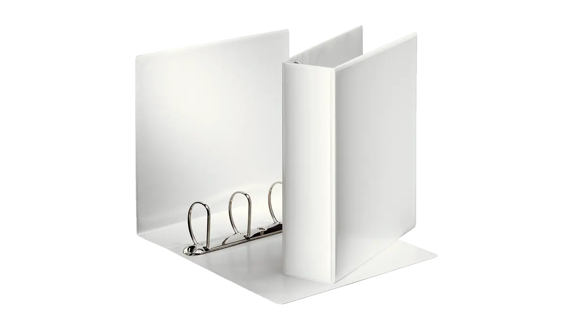 Raccoglitore Esselte Display PP - 2 Tasche, 4 Anelli 65 Mm, Formato Maxi Bianco - Foto 3