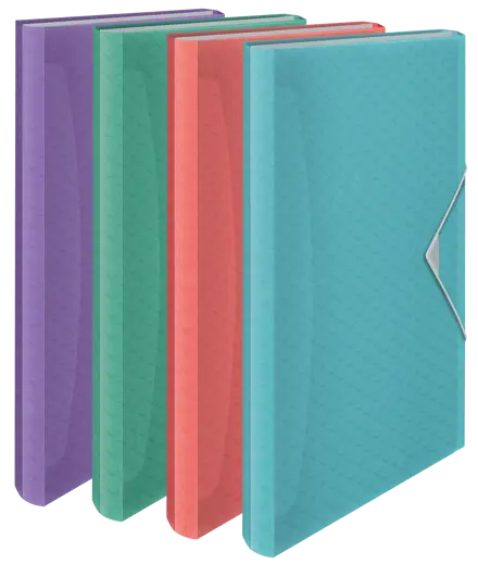 Esselte Colour'Breeze Projektmappe