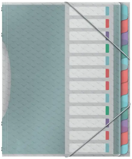Esselte Colour'Breeze Ordnungsmappe mit 12 Taben
