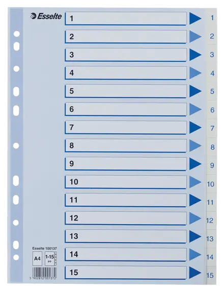Index 1-15 Esselte PP A4 White