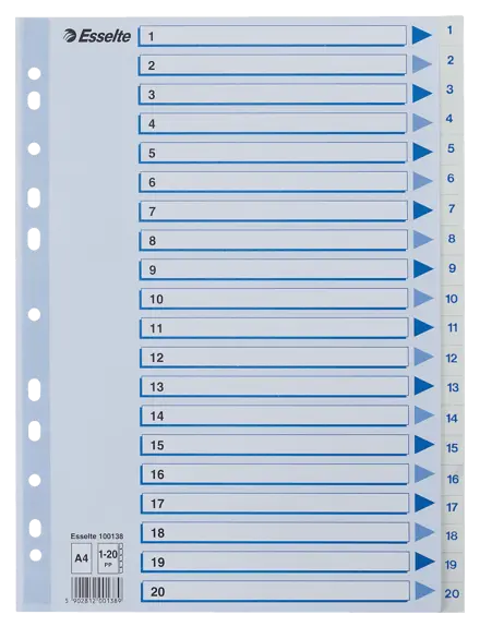 Index 1-20 Esselte PP A4 White