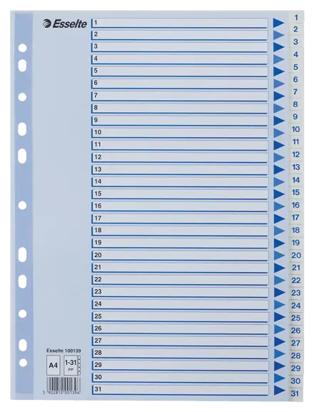 Index 1-31 Esselte PP A4 White