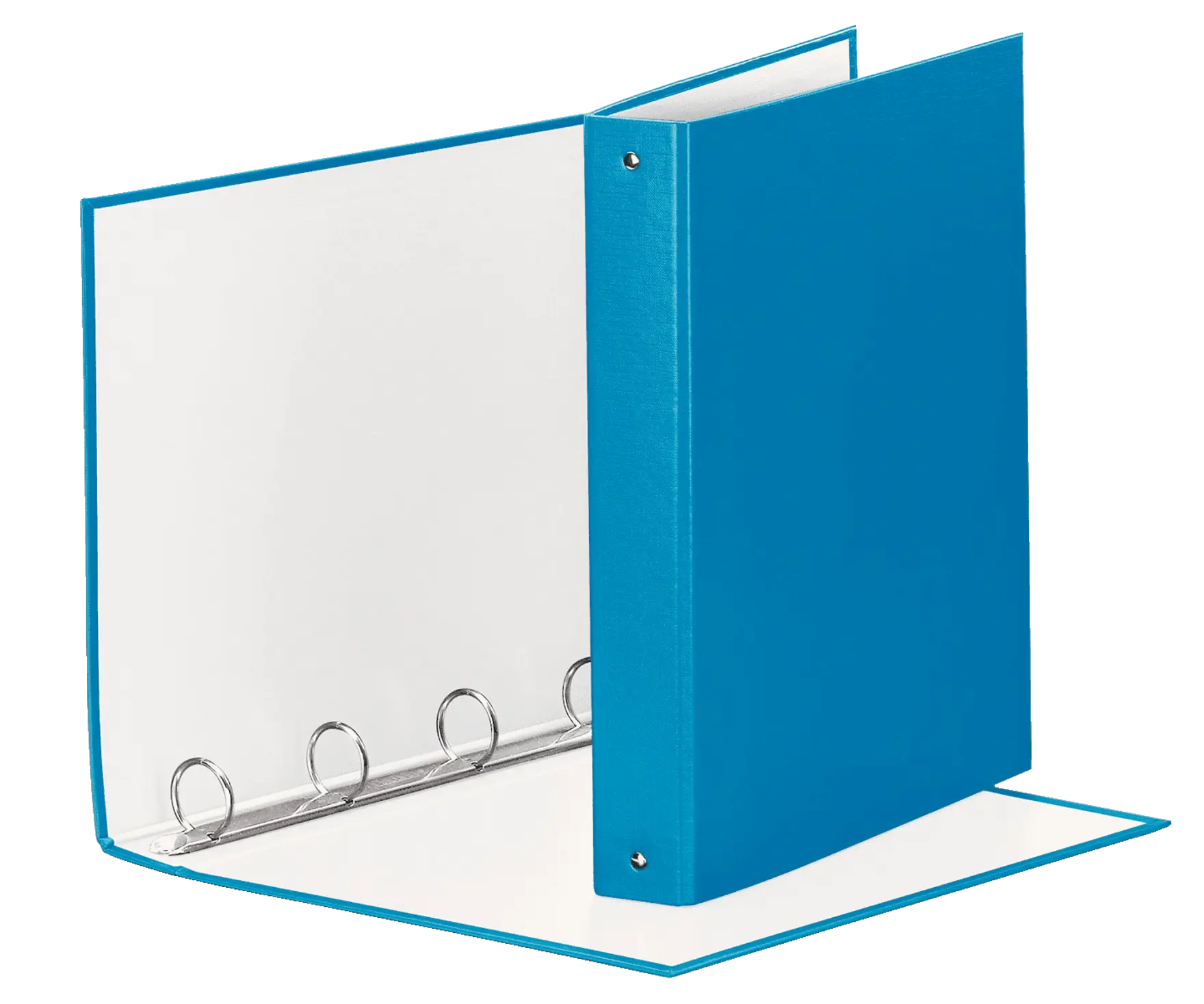 Set 3 Raccoglitori TIGROTTA A4 Con Anelli - Portadocumenti Ufficio 31 Cm