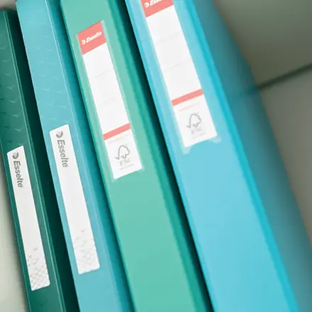 Carpeta de anillas Esselte Colour'Breeze PP