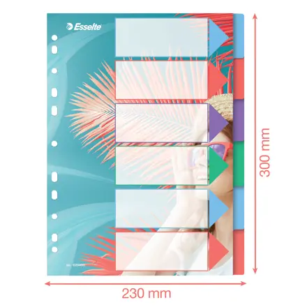 Esselte Colour'Breeze A4 Indici 6 tasti, PP