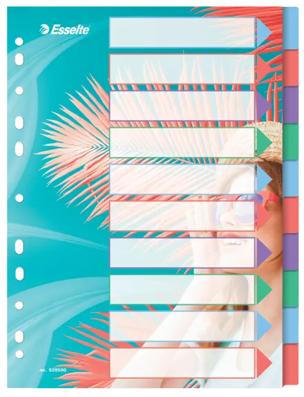 Esselte Colour'Breeze A4 Indices 10 Tabs, PP