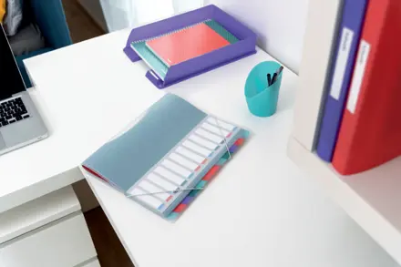 Esselte Colour'Breeze Esijärjestin PP 12 välilehteä