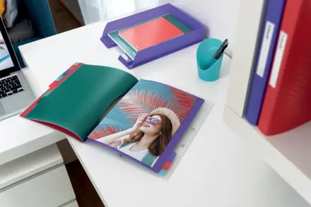 Esselte Colour'Breeze Esijärjestin PP 12 välilehteä