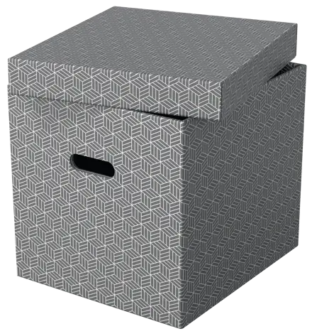 Esselte Home Storage Box Cube, Pack of 3