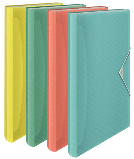 Esselte Colour'Ice Φυσαρμόνικα