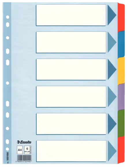 Kartonkihakemisto Esselte Mylar A4