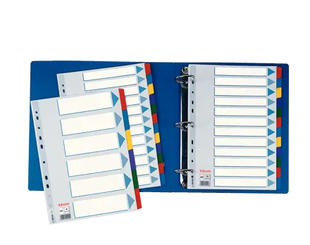 Kartonkihakemisto Esselte Mylar A4