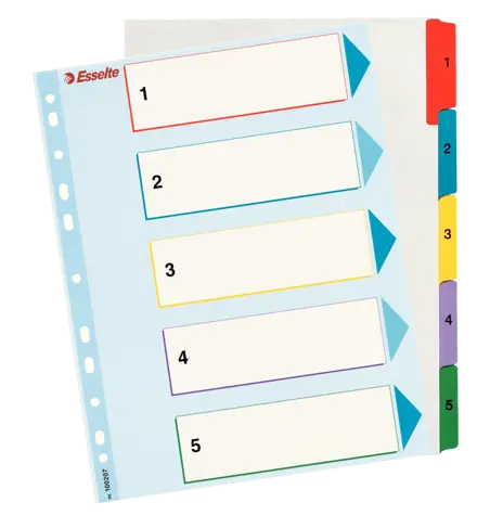 Re-writable rekisteri Esselte Mylar A4+