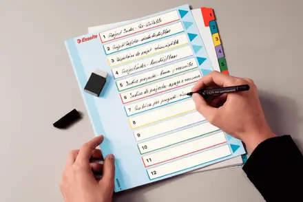 Re-writable rekisteri Esselte Mylar A4+