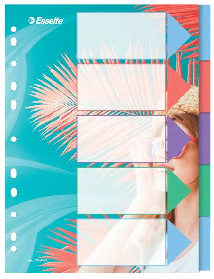 Esselte Colour'Breeze A4 register, 5 faner, PP