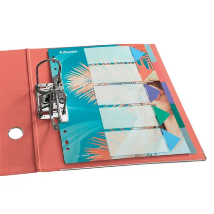 Esselte Colour'Breeze A4 register, 5 faner, PP