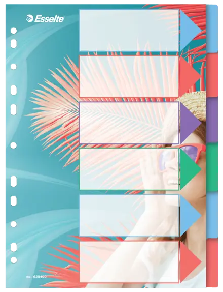 Esselte Colour'Breeze A4-register 6 faner, PP