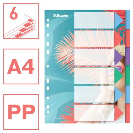 Esselte Colour'Breeze A4-register 6 faner, PP