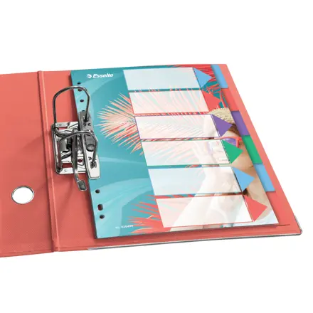 Esselte Colour'Breeze A4-register 6 faner, PP