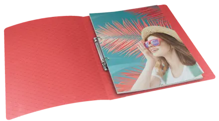 Carpeta de 2 anillas Esselte Colour'Breeze
